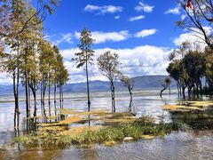 -洱海月湿地公园