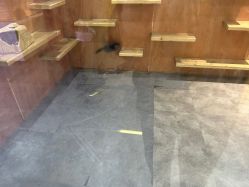 -神奇动物撸宠馆·羊驼·小浣熊·异宠(豫园店)
