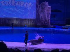 -华夏文旅海洋公园