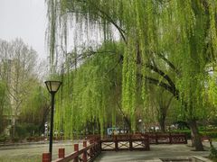 -石刻园
