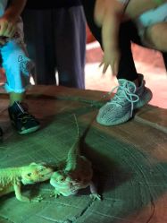 -酷嗒动物文化乐园(cutezoo西溪乐天城店)