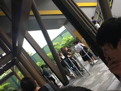 -飞天翼龙