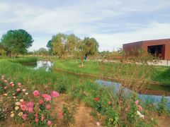 -安德鲁户外烧烤帐篷营地(马泉营店)