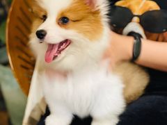-echoes coffee回响咖啡(红山店)