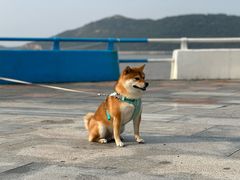 -舟山嵊泗列岛风景名胜区
