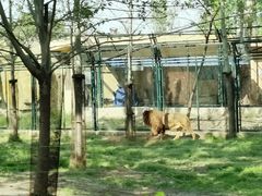 -秦皇岛野生动物园