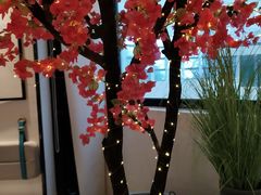 -HELLO MUSAE 拾光缪斯餐厅·纯正希腊风味(苏州中心店)