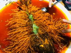 金毛狮子鱼-丹江渔村(首都机场店)