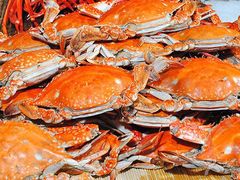 -东方红海鲜百汇(国际大厦店)