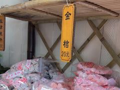 -苏州市吴中区光福窑上花果蜜饯厂
