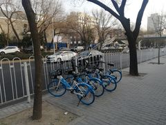 -元大都城垣遗址公园