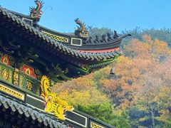 -普陀山风景名胜区-法雨禅寺