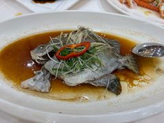 清蒸甘古鱼-荔城生鲜盛宴(番禺旗舰店)