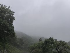 -南京老山国家森林公园