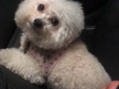 -MOLLY'S萌宠生活馆