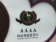 -铁山坪森林公园