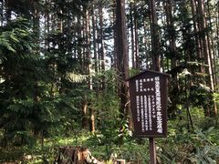 -北海道神宫