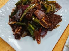 -鸽王世家(东华东路店)