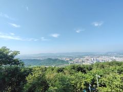 -风云岭森林公园