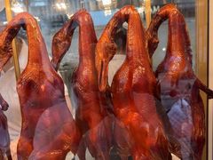 -顺城金记卤鸡·清真