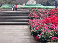 景点-金鸡山公园