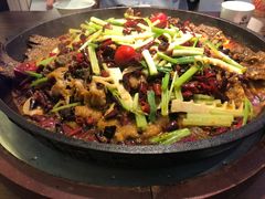 -老板恋上鱼(荣盛广场店)