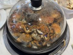 -半岛听涛蒸汽海鲜自助(K11店)