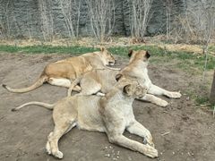 -北京野生动物园