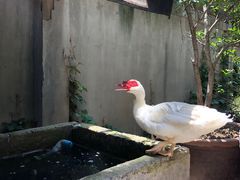 -外婆家(杭州马塍店·杭帮菜名店)