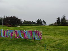 -铁山坪森林公园