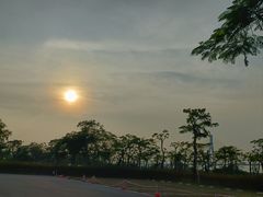 -芒洲湿地公园