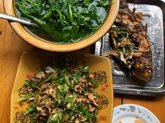 尖椒炒肉-贵长农家乐·北海湿地