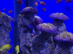 -海合安武汉极地海洋公园