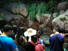 -上海海洋水族馆-停车场