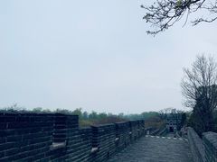 -老龙头景区
