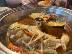 -老号尤兔头(幸福店)