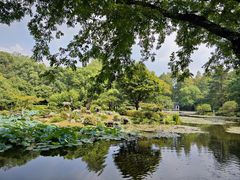 -杭州植物园