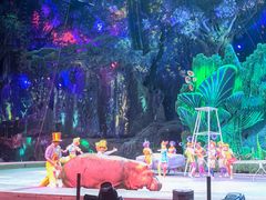 -广州长隆国际大马戏