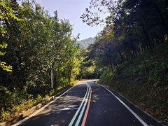 -火炉山森林公园
