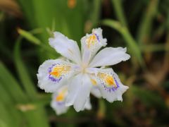 -镇江市南山风景名胜区竹林景区