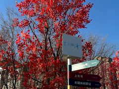 -天津东疆湾沙滩景区