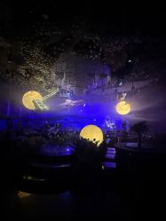 -花嫁丽舍海岛婚礼殿堂(国展店)