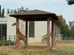 -石家庄市动物园