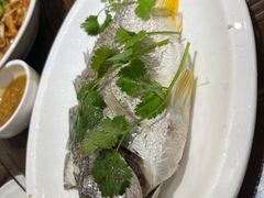 -长平肥姐白粥·海鲜打冷