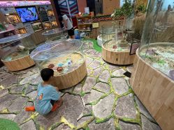 -卡通尼·Safari非洲探索乐园·生日会(金桥国际商业广场店)