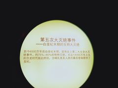 -安徽省地质博物馆