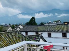 -喵屿·大理花园猫咖