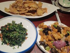 -邵年鸽(杨庄店)
