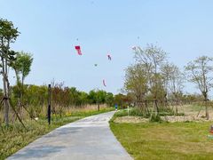 -春花秋色城市公园