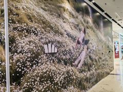 -凯德MALL(望京店)